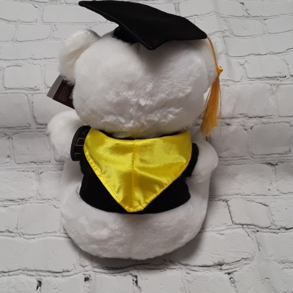 graduation  gifts ideas teddy bear graduation gift. - Picture 3 of 5